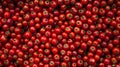 Background Completely Filled with Fresh Ripe Tomatoes Showcasing Their Vibrant Red Color. This is AI generative image.