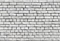 The background is composed of a textured grey concrete wall and a close-up view of grey brick Royalty Free Stock Photo