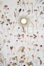 Background is a composition of dried plant samples. Dried flowers on the white wall of interior. Concept - herbarium background Royalty Free Stock Photo