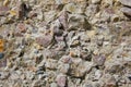 Concrete wall texture with granite stones