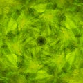 Background consists of fractal multicolor texture