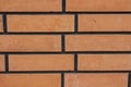 Background in the form of a brick wall.