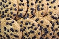 Background cookies with chocolate chips on a flat surface Royalty Free Stock Photo