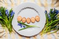 Background with cookies a gray plate in the shape of Easter eggs in the blue snowdrops on checkered kitchen towel Royalty Free Stock Photo