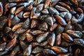 Background Cooking mussels in a pan