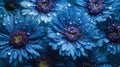 Background of Cornflowers with raindrops created with generative AI technology Royalty Free Stock Photo