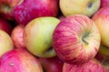 A Background of Cortland Apples Royalty Free Stock Photo