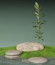 Background for cosmetics. Podium for goods in the form of a stone in the forest near the water