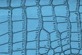 Background of crocodile skin. Blue alligator patterned background