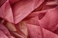 A background of crumpled pink wrapping paper