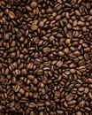 Background of a Crunchy brown coffee beans Royalty Free Stock Photo