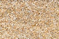 Background - crushed rye groats grains Royalty Free Stock Photo