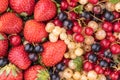 Ripe berries of white, red, black currant and red strawberry close-up Royalty Free Stock Photo