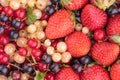 Ripe berries of white, red, black currant and red strawberry close-up Royalty Free Stock Photo