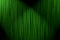 Background curtain green