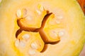 Background of the cut pumpkin, yellow with seeds