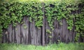 Background with dark grey wooden fence and leaves Royalty Free Stock Photo