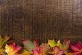 A background decorated with colourful autumn leaves, with copy s Royalty Free Stock Photo