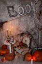 Background of decorations for Halloween celebration. A scary composition with Jack`s pumpkin and burning candles, spider