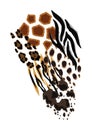 Background with decorative animal print. African savannah fauna stylized ornament, fur texture.