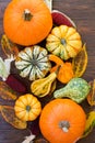 Background of decorative autumn pumpkins Royalty Free Stock Photo