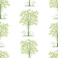 Background of decorative deciduous trees
