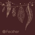Background with decorative feathers