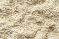 Background of decorticated sesame seeds. Royalty Free Stock Photo