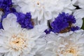 Background with delicate white and purple flowers Royalty Free Stock Photo