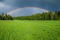 A rainbow over a green grass field Royalty Free Stock Photo