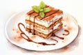 Plate food background dessert cream tiramisu tasty sweet delicious fresh cake Royalty Free Stock Photo