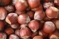 Background detail of a pile of hazelnuts in shell Royalty Free Stock Photo