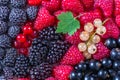 Background of different berries: raspberries, blackberries, currants. Top view Royalty Free Stock Photo