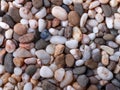 Background of different colors small sea pebbles.