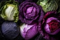 Background of different varieties of cabbage, purple cabbage, green cabbage, close up, healthy food Royalty Free Stock Photo