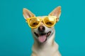 dog smile animal pet funny trendy portrait background cute sunglasses. Generative AI.