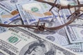 the background of dollars on it is barbed wire. close-up Royalty Free Stock Photo