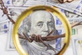 the background of dollars on it is barbed wire. close-up Royalty Free Stock Photo
