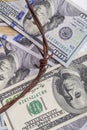 the background of dollars on it is barbed wire. close-up Royalty Free Stock Photo