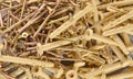 Background with dowel nails. Group of nail-plugs with plastic nails close up Royalty Free Stock Photo