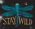 Background with dragonfly and hand drawn lettering