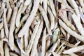 Background of dried beans shuck Royalty Free Stock Photo