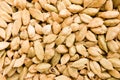 Background of dried cardamom seeds in shells Royalty Free Stock Photo