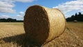 Background with dried hay in rolls in sunny day