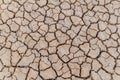 Dried mud cracks Royalty Free Stock Photo