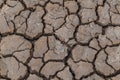 Dried mud cracks Royalty Free Stock Photo