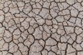 Dried mud cracks Royalty Free Stock Photo