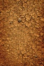 Background of dried parched earth dirt ground