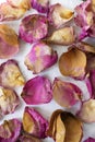 Background with dried rose petals. Floral texture. Dried roses. Royalty Free Stock Photo