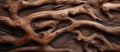 Background of driftwood texture